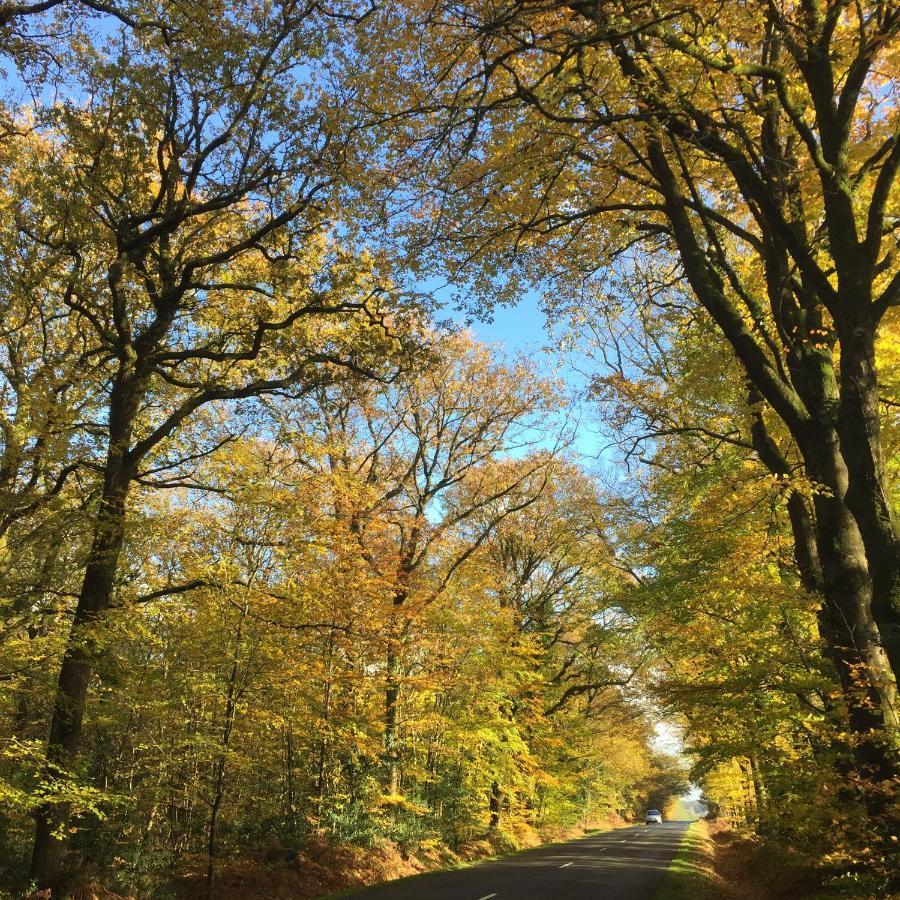 L'Hotie De Broceliande, Au Coeur Des Sites Naturels Et Legendaires Paimpont Kültér fotó