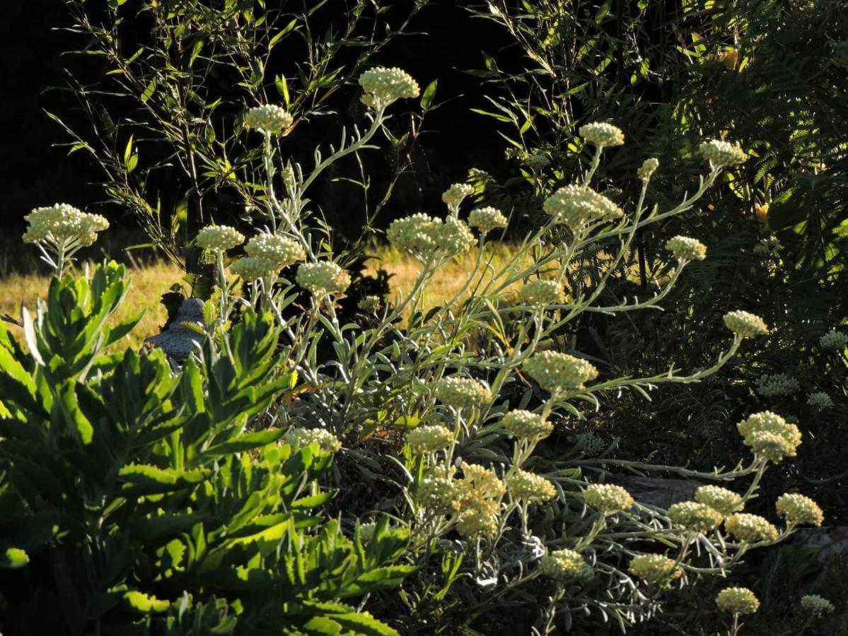 L'Hotie De Broceliande, Au Coeur Des Sites Naturels Et Legendaires Paimpont Kültér fotó