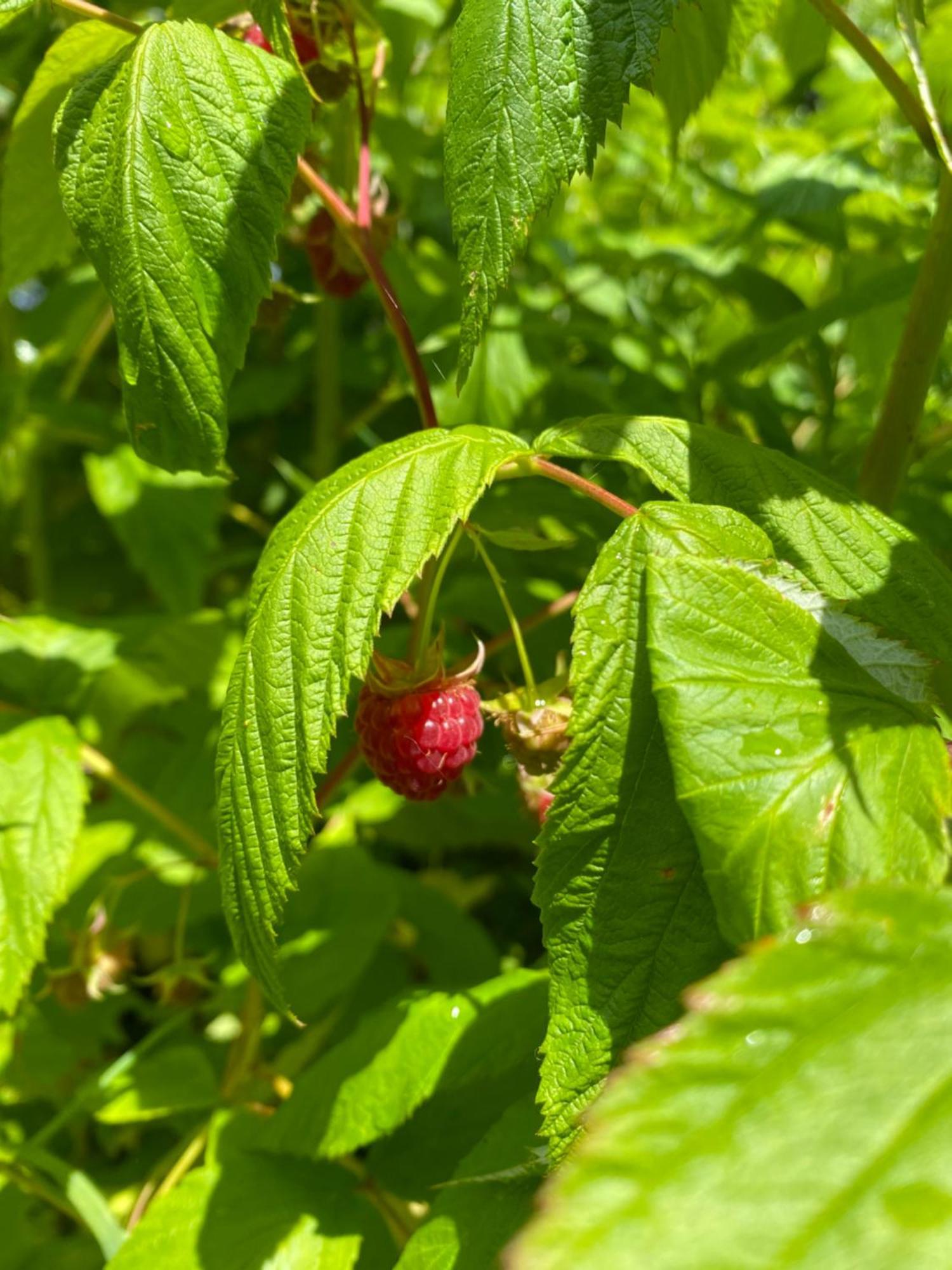 L'Hotie De Broceliande, Au Coeur Des Sites Naturels Et Legendaires Paimpont Kültér fotó