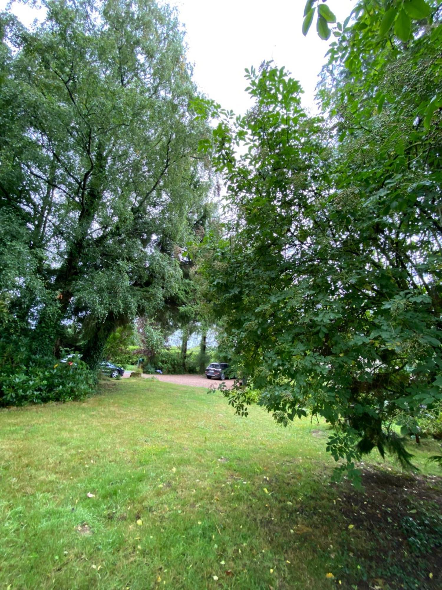 L'Hotie De Broceliande, Au Coeur Des Sites Naturels Et Legendaires Paimpont Kültér fotó