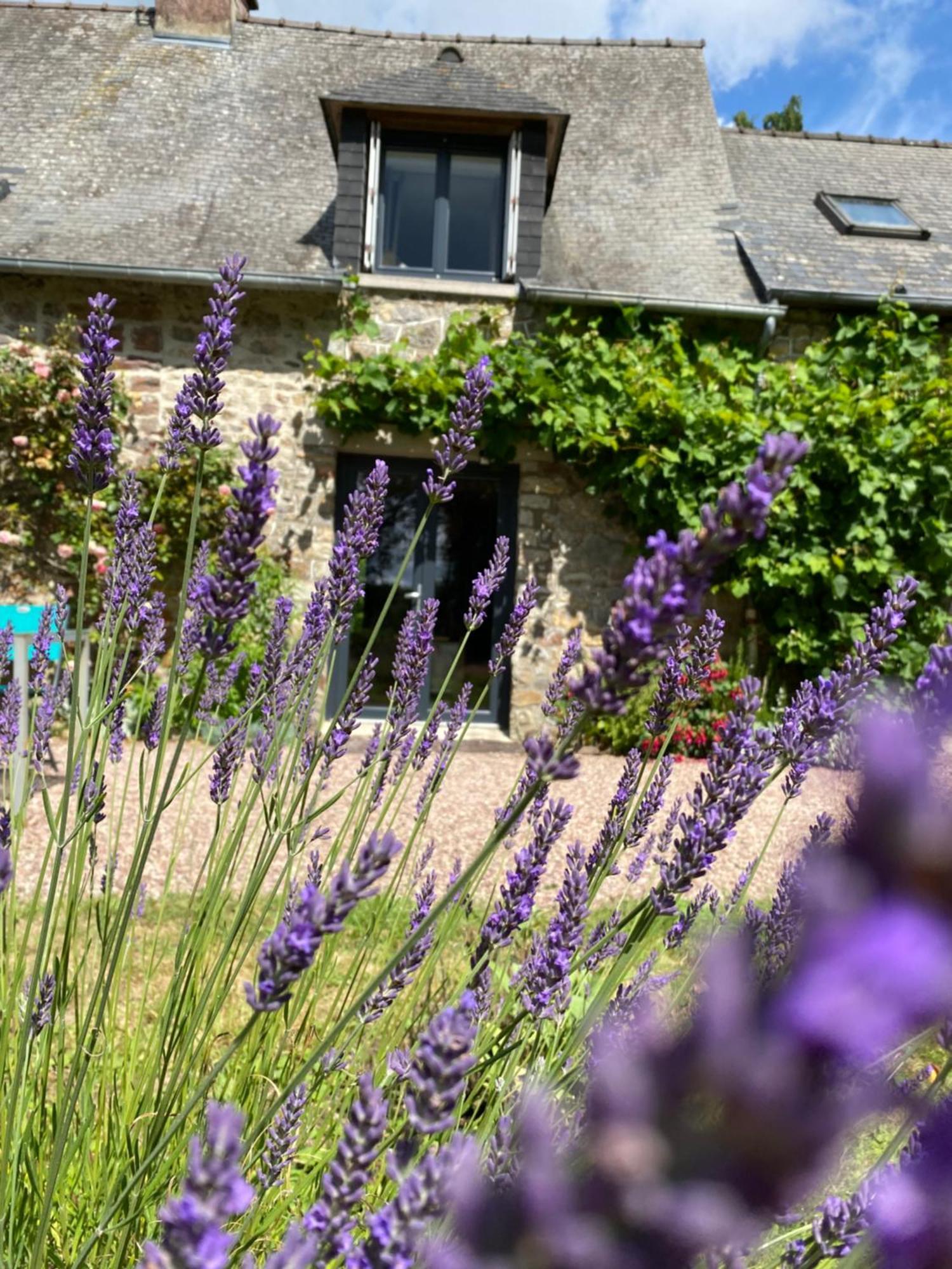 L'Hotie De Broceliande, Au Coeur Des Sites Naturels Et Legendaires Paimpont Kültér fotó